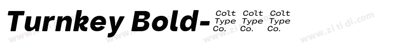 Turnkey Bold字体转换